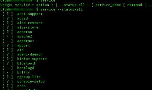 Linux terminal displaying services